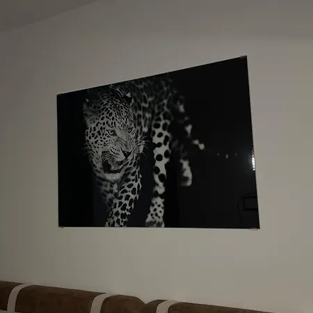 Apartman Zlatibor Zlatibor